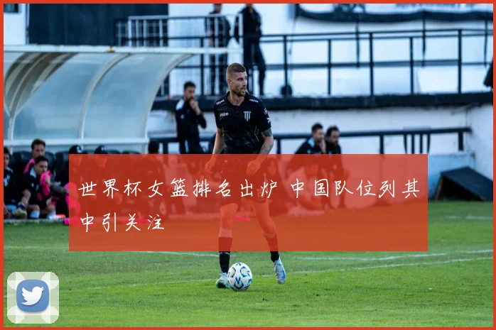 世界杯女篮排名出炉 中国队位列其中引关注