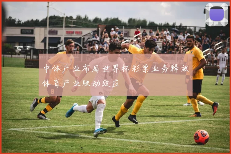 中体产业布局世界杯彩票业务释放体育产业联动效应