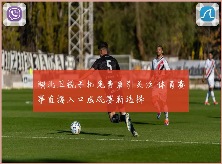 湖北卫视手机免费看引关注 体育赛事直播入口成观赛新选择
