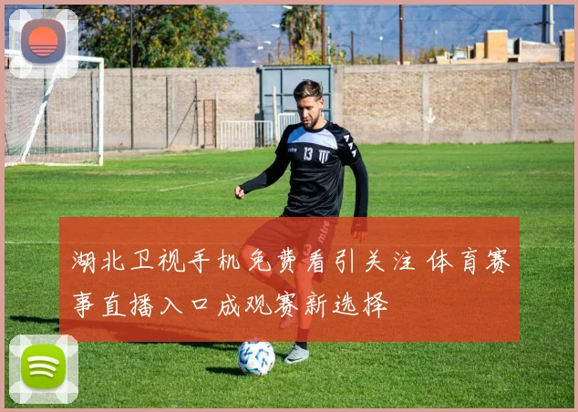 湖北卫视手机免费看引关注 体育赛事直播入口成观赛新选择