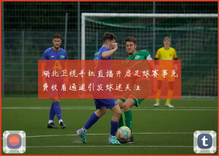 湖北卫视手机直播开启足球赛事免费收看通道引发球迷关注