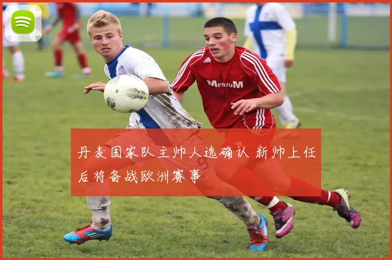 丹麦国家队主帅人选确认 新帅上任后将备战欧洲赛事