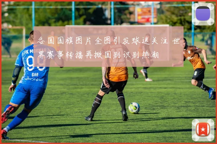 各国国旗图片全图引发球迷关注 世界赛事转播再掀国别识别热潮