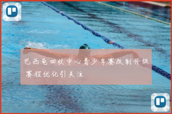 巴西龟回收中心青少年赛改制升级 赛程优化引关注