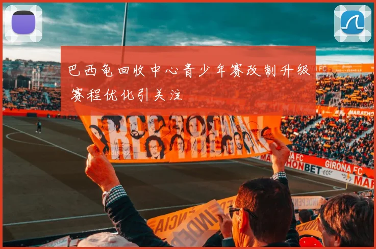 巴西龟回收中心青少年赛改制升级 赛程优化引关注