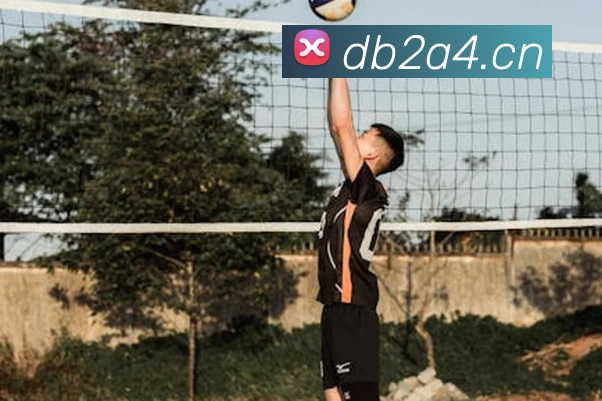 开云官方登陆入口发展历程